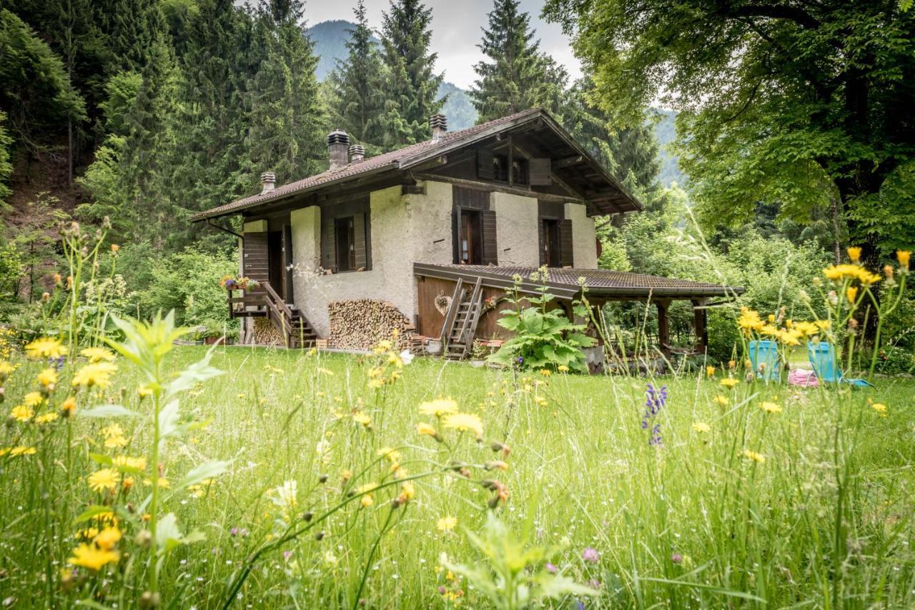 Chalet Silenthia Villa Lenzumo di Concei Exterior photo